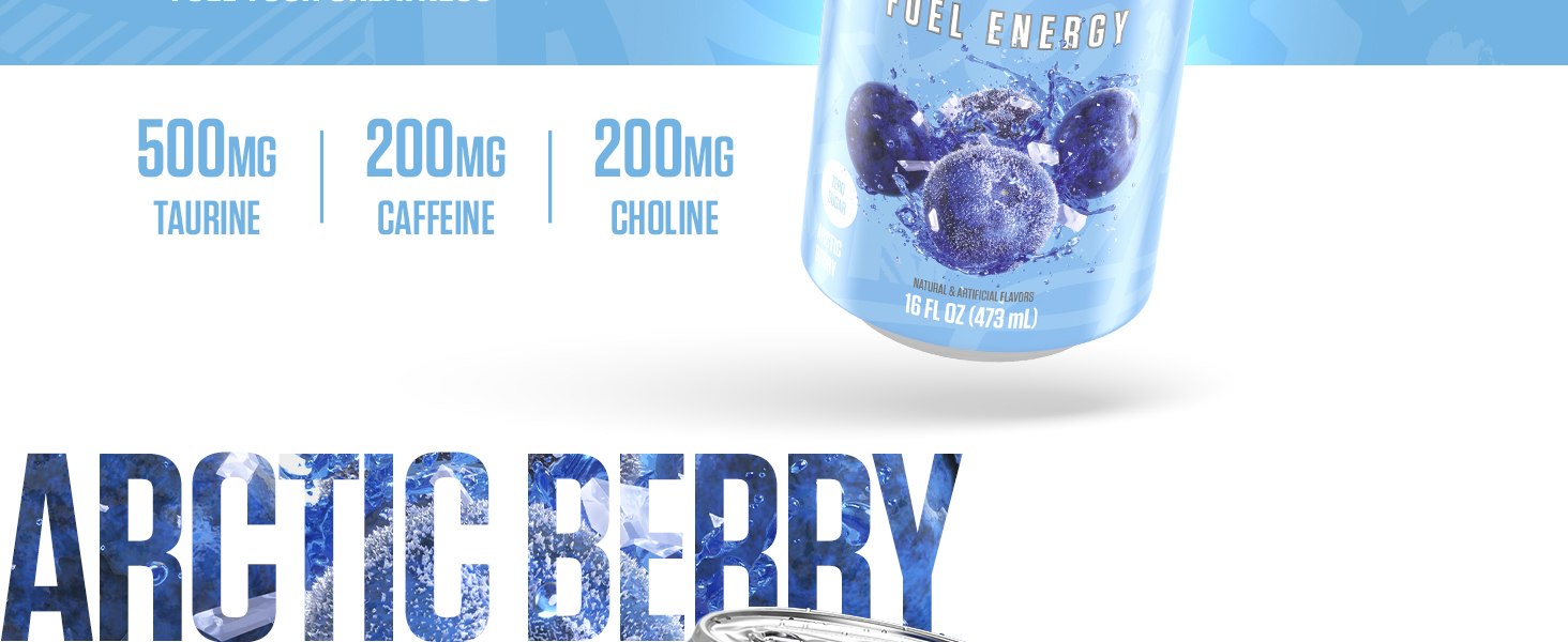RYSE Energy Drink Arctic Berry Banner Image 2